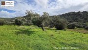 Kalamaki Kreta, Kalamaki Grundstück 2.600 m² zu verkaufen Grundstück kaufen